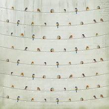 Cargar imagen en el visor de la galería, Little Birdie Cardstock 6" x 6" - Woodland Stories (24 hojas)