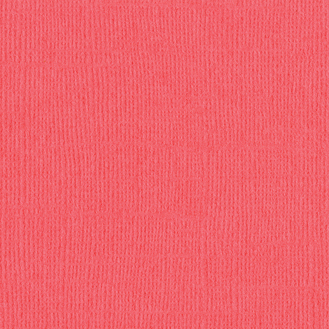 Bazzill Mono Cardstock 12