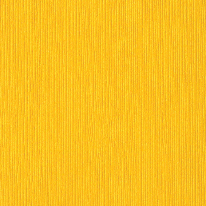 Bazzill Fourz Cardstock 12