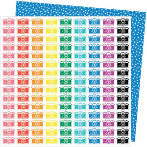 AC PATTERNED PAPER - PICNIC IN THE PARK - 12 X 12 - PHOTO SHOOT