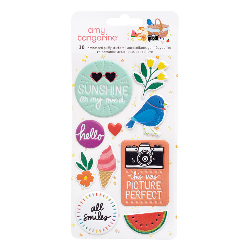 Amy Tangerine Picnic In The Park Embossed Puffy Stickers 10/Pkg